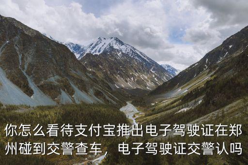 你怎么看待支付寶推出電子駕駛證在鄭州碰到交警查車，電子駕駛證交警認嗎