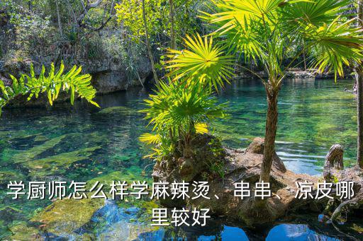 焦作哪里有學(xué)串串香麻辣燙的,學(xué)廚師怎么樣學(xué)麻辣燙
