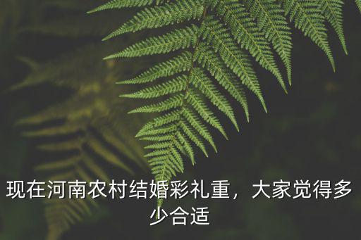 河南人結婚彩禮多少,河南省現在結婚彩禮