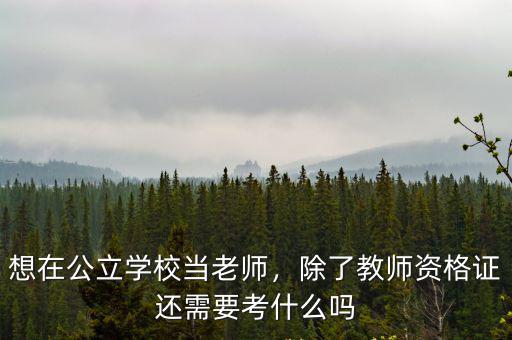 想在公立學校當老師，除了教師資格證還需要考什么嗎
