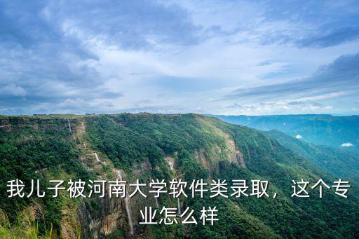 我兒子被河南大學軟件類錄取，這個專業怎么樣