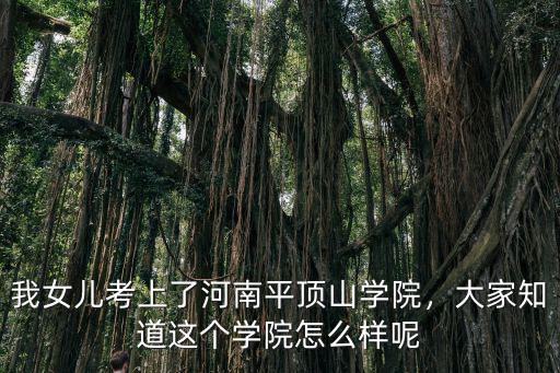 我女兒考上了河南平頂山學院，大家知道這個學院怎么樣呢