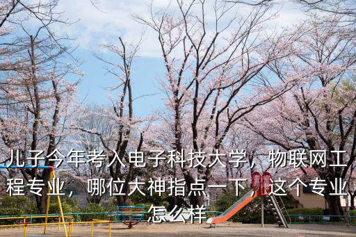 兒子今年考入電子科技大學(xué)，物聯(lián)網(wǎng)工程專業(yè)，哪位大神指點(diǎn)一下，這個(gè)專業(yè)怎么樣