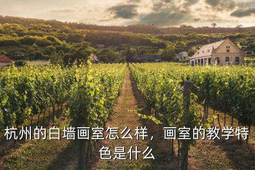 白墻畫室鄭州分校怎么樣,杭州的白墻畫室怎么樣