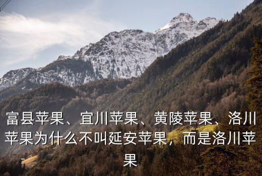 富縣蘋果、宜川蘋果、黃陵蘋果、洛川蘋果為什么不叫延安蘋果，而是洛川蘋果