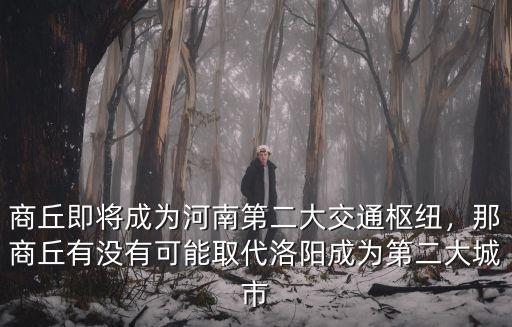 商丘即將成為河南第二大交通樞紐，那商丘有沒有可能取代洛陽成為第二大城市