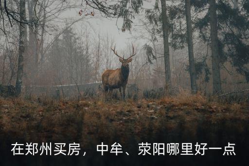 鄭州市滎陽在哪里,滎陽哪里好一點