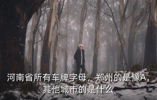 河南省所有車牌字母，鄭州的是豫A，其他城市的是什么