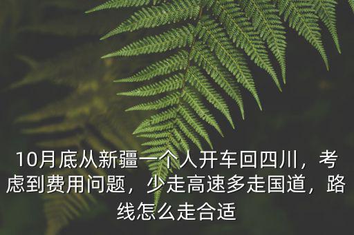 10月底從新疆一個人開車回四川，考慮到費用問題，少走高速多走國道，路線怎么走合適