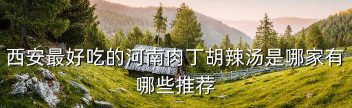 河南肉丁胡辣湯怎么調,是河南的肉丁胡辣湯好吃