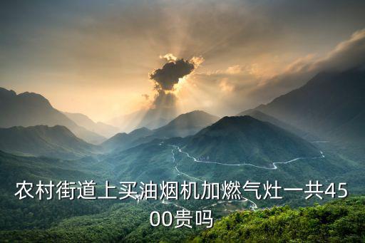 農村街道上買油煙機加燃氣灶一共4500貴嗎