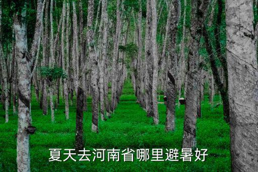 夏天去河南省哪里避暑好