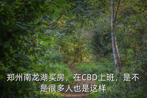 鄭州南龍湖買房，在CBD上班，是不是很多人也是這樣