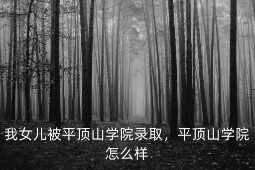 平頂山學院伙食怎么樣,平頂山學院怎么樣