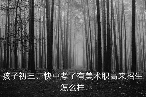 孩子初三，快中考了有美術職高來招生怎么樣