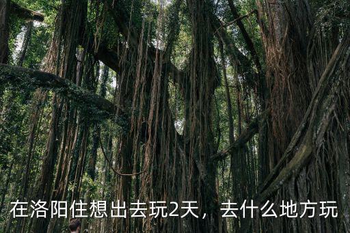 在洛陽(yáng)住想出去玩2天，去什么地方玩