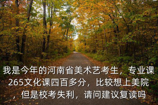 河南美術藝考文化課多少分可以上大學,河南美術聯考254