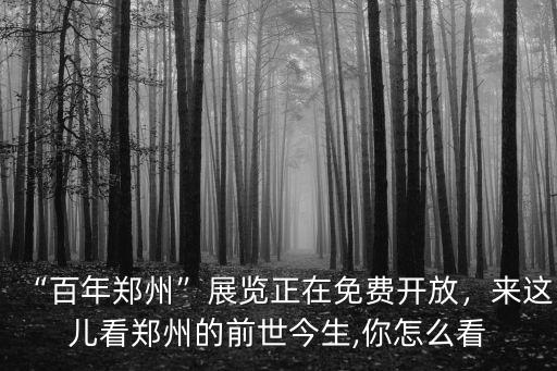 鄭州航展哪里看免費,百年鄭州展覽正在免費開放