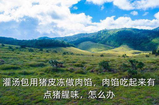 開封灌湯包肉餡怎么打,開封灌湯包是怎么做的