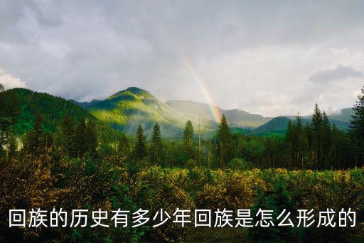 開封縣回民有多少,回族的歷史有多少年
