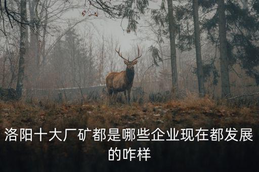 洛陽十大廠礦都是哪些企業現在都發展的咋樣