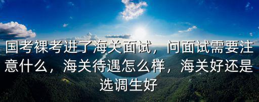 國(guó)考裸考進(jìn)了海關(guān)面試，問(wèn)面試需要注意什么，海關(guān)待遇怎么樣，海關(guān)好還是選調(diào)生好