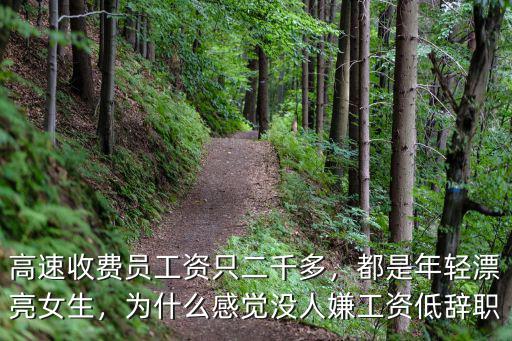 高速收費員工資只二千多，都是年輕漂亮女生，為什么感覺沒人嫌工資低辭職