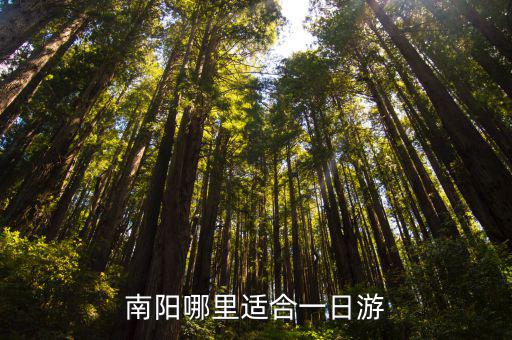 南陽櫻桃園附近哪里好,南陽哪里有賞花好去處
