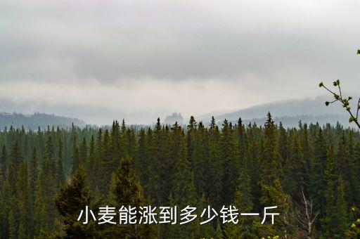 今天小麥多少錢一斤周口西華縣,小麥能漲到多少錢一斤