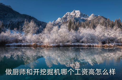 做廚師和開挖掘機哪個工資高怎么樣