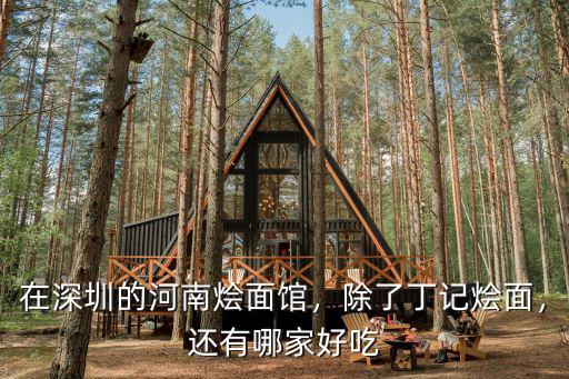 河南劉記燴面館怎么樣,想開一個河南燴面館