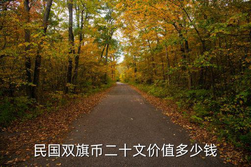 民國雙旗幣河南造二十文多少錢,民國雙旗幣二十文價值多少錢