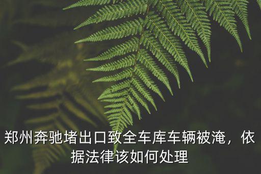 河南大暴雨被淹的車輛怎么處理,被泡過的車該怎么處理呢
