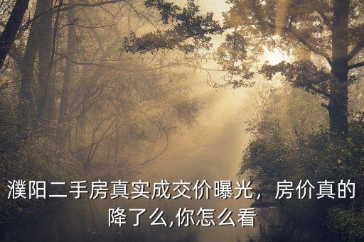 濮陽二手房真實成交價曝光，房價真的降了么,你怎么看
