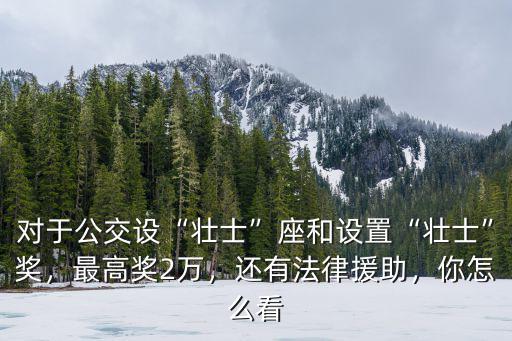 對(duì)于公交設(shè)“壯士”座和設(shè)置“壯士”獎(jiǎng)，最高獎(jiǎng)2萬(wàn)，還有法律援助，你怎么看