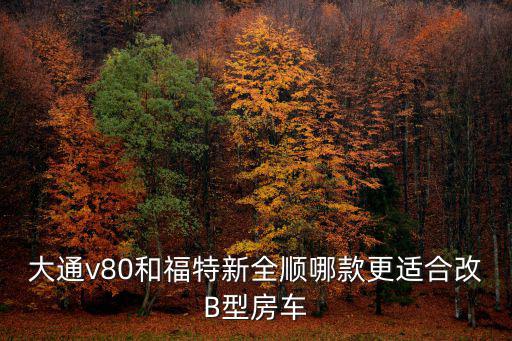 大通v80和福特新全順哪款更適合改B型房車
