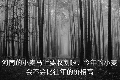 今年河南小麥價(jià)格怎么樣,是否會(huì)推動(dòng)河南小麥價(jià)格大漲