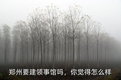 鄭州要建領(lǐng)事館嗎，你覺得怎么樣