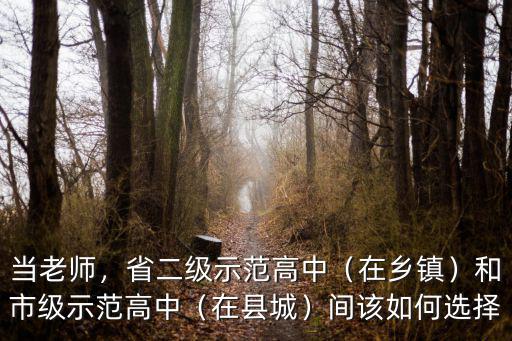 當老師，省二級示范高中（在鄉(xiāng)鎮(zhèn)）和市級示范高中（在縣城）間該如何選擇