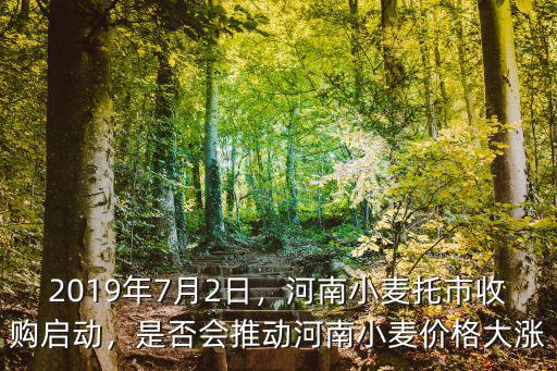 2020年河南哪里收購孜然,2020年河南大蒜滯銷