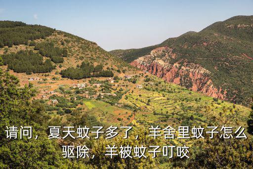 請問，夏天蚊子多了，羊舍里蚊子怎么驅除，羊被蚊子叮咬