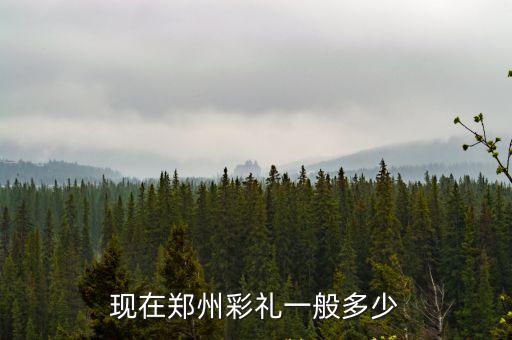 鄭州汽車多少錢一臺(tái),公共汽車多少錢一輛