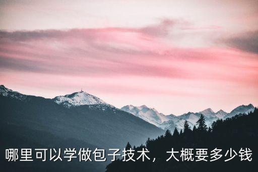 商丘哪里可以學賣包子,哪里可以學做包子技術