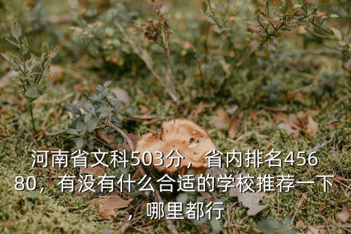 河南省文科503分，省內排名45680，有沒有什么合適的學校推薦一下，哪里都行