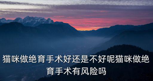 貓咪做絕育手術(shù)好還是不好呢貓咪做絕育手術(shù)有風(fēng)險(xiǎn)嗎