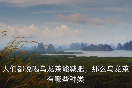 人們都說喝烏龍茶能減肥，那么烏龍茶有哪些種類