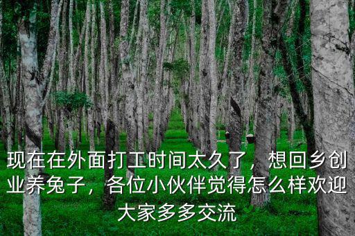 2021年在商丘散養兔子怎么樣,2021年養殖行業怎么樣