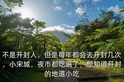 不是開封人，但是每年都會去開封幾次，小宋城，夜市都吃遍了，想知道開封的地道小吃