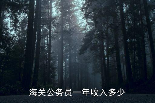 海關(guān)公務(wù)員一年收入多少