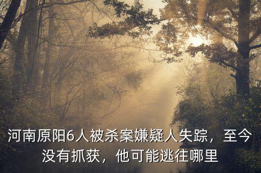 河南原陽6人被殺案嫌疑人失蹤，至今沒有抓獲，他可能逃往哪里